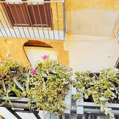 Feriehus Le Del Grillo *